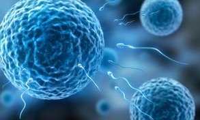 呼伦贝尔满洲里市做试管婴儿的医院有哪些，呼伦贝尔满洲里市做试管婴儿的医院有哪些