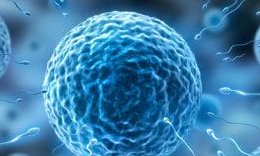 在赤峰学院附属医院做试管婴儿要多少钱？成功率怎么样？附试管怀孕机构名单一览