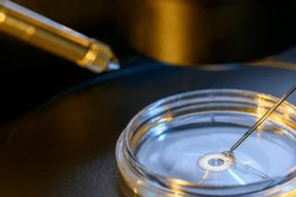 在宁波市妇女儿童医院做试管婴儿要多少钱？成功率怎么样？附试管怀孕机构名单一览